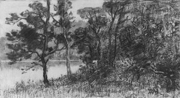 Morris River Landscape